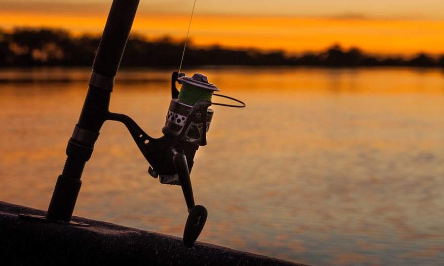 La práctica de la pesca deportiva debe realizarse respetando la normativa ambiental y las especies protegidas.