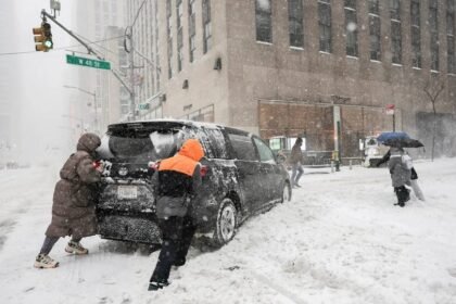 Calles cubiertas de nieve y árboles caídos tras la tormenta invernal que paralizó el noreste de Estados Unidos. Foto: archivo.