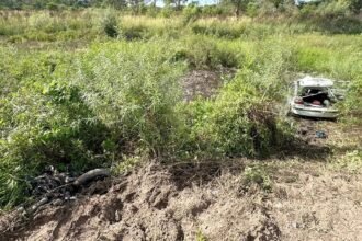 Vehículos involucrados en el choque fatal sobre la Ruta Provincial 1, fuera de la calzada tras el impacto frontal ocurrido a la altura de Arroyo Leyes.