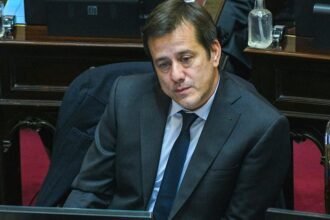 Mariano Recalde durante una sesión en el Senado de la Nación. Foto de archivo.