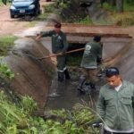 Cuadrillas municipales realizan tareas de limpieza y mantenimiento tras una jornada de lluvias en Santa Fe. (Foto de archivo)