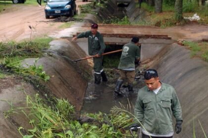 Cuadrillas municipales realizan tareas de limpieza y mantenimiento tras una jornada de lluvias en Santa Fe. (Foto de archivo)