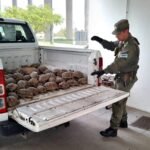 Incautación de tortugas en un operativo contra la caza y el tráfico ilegal de fauna silvestre en Santa Fe. Foto: archivo.