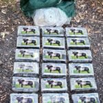 Paquetes de cocaína con el sello de un cebú secuestrados en un operativo de Gendarmería Nacional en la ciudad de San Cristóbal.