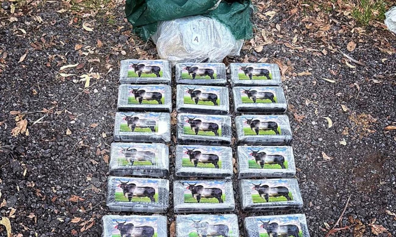 Paquetes de cocaína con el sello de un cebú secuestrados en un operativo de Gendarmería Nacional en la ciudad de San Cristóbal.