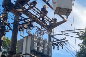 Operario de la Empresa Provincial de la Energía realiza tareas de mantenimiento en el tendido eléctrico y equipos transformadores. Foto de archivo.