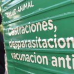 Vecinos concurren con sus mascotas a una jornada gratuita de castración organizada por el Imusa en un espacio comunitario.
