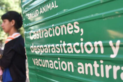 Vecinos concurren con sus mascotas a una jornada gratuita de castración organizada por el Imusa en un espacio comunitario.