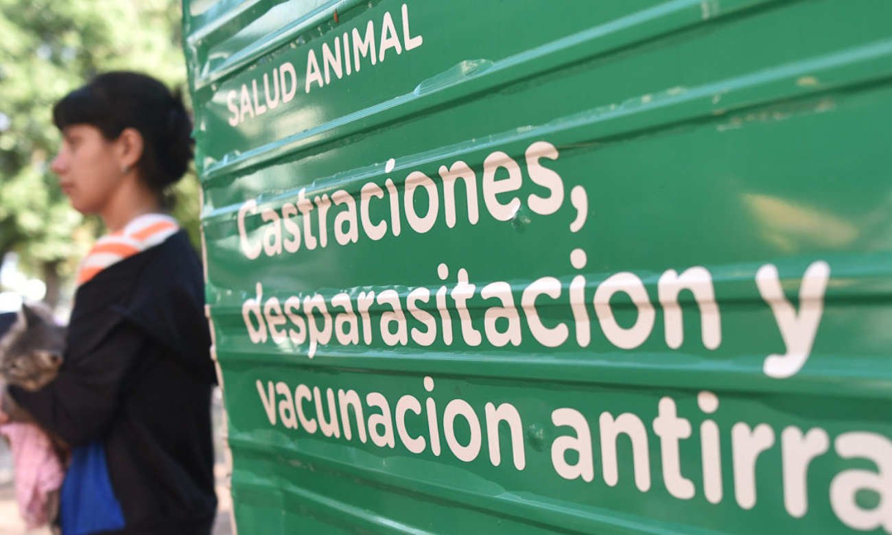 Vecinos concurren con sus mascotas a una jornada gratuita de castración organizada por el Imusa en un espacio comunitario.