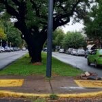 Avenida Aristóbulo del Valle con circulación reducida y sectores anegados tras las lluvias de la madrugada, en la ciudad de Santa Fe. Foto de la mañana.