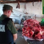 Operativo de la Guardia Rural “Los Pumas” durante controles y procedimientos vinculados a delitos rurales en la región. Foto: archivo.