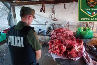 Operativo de la Guardia Rural “Los Pumas” durante controles y procedimientos vinculados a delitos rurales en la región. Foto: archivo.