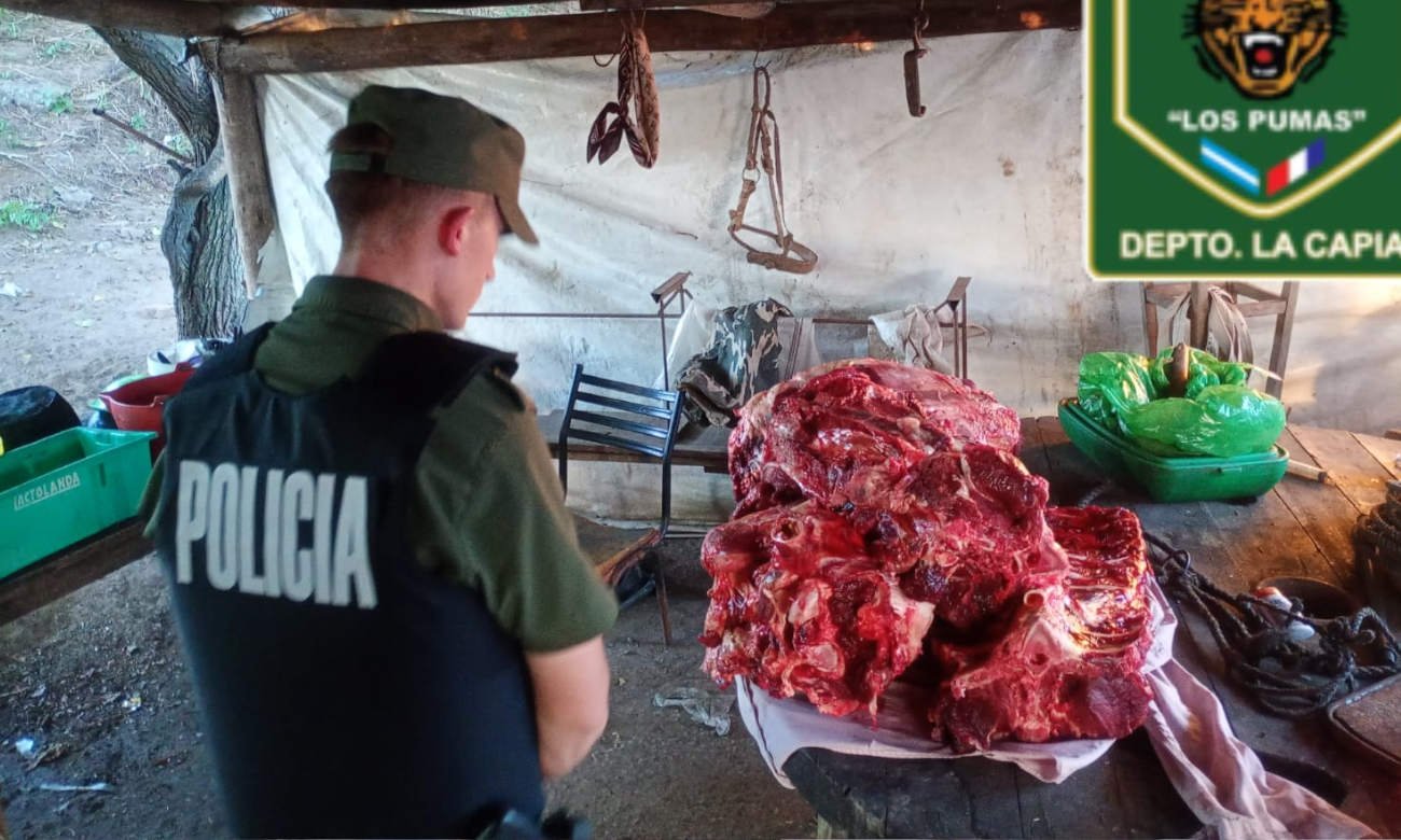 Operativo de la Guardia Rural “Los Pumas” durante controles y procedimientos vinculados a delitos rurales en la región. Foto: archivo.