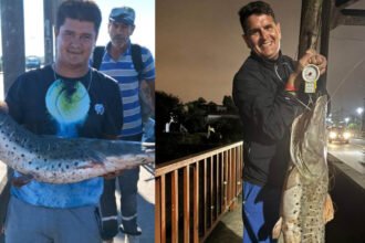 Pescadores buscan capturas de gran tamaño en el río Salado, tras la aparición de surubíes en la zona del Puente Carretero.