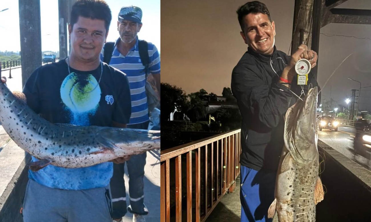 Pescadores buscan capturas de gran tamaño en el río Salado, tras la aparición de surubíes en la zona del Puente Carretero.