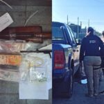 Detenida en operativo por microtráfico junto a droga, dinero en efectivo y armas secuestradas durante allanamientos en San Cristóbal.