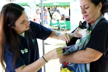 Jornada de vacunación antirrábica para perros y gatos en un espacio público, con asistencia de veterinarios municipales.