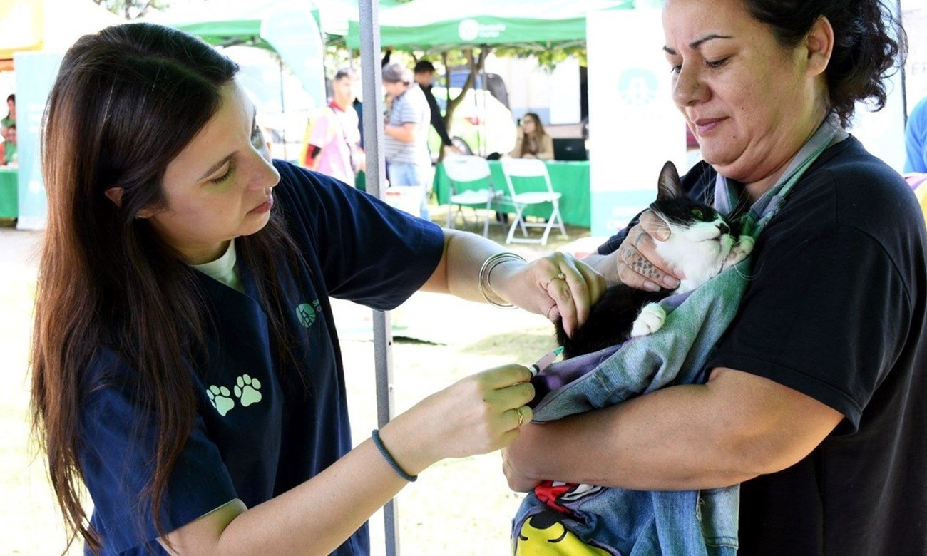 Jornada de vacunación antirrábica para perros y gatos en un espacio público, con asistencia de veterinarios municipales.