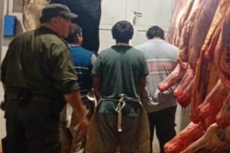 Secuestro de carne y elementos de faena durante un operativo de control sanitario realizado por Los Pumas en San Javier. Foto de archivo.