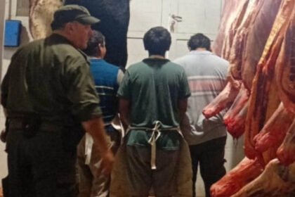Secuestro de carne y elementos de faena durante un operativo de control sanitario realizado por Los Pumas en San Javier. Foto de archivo.