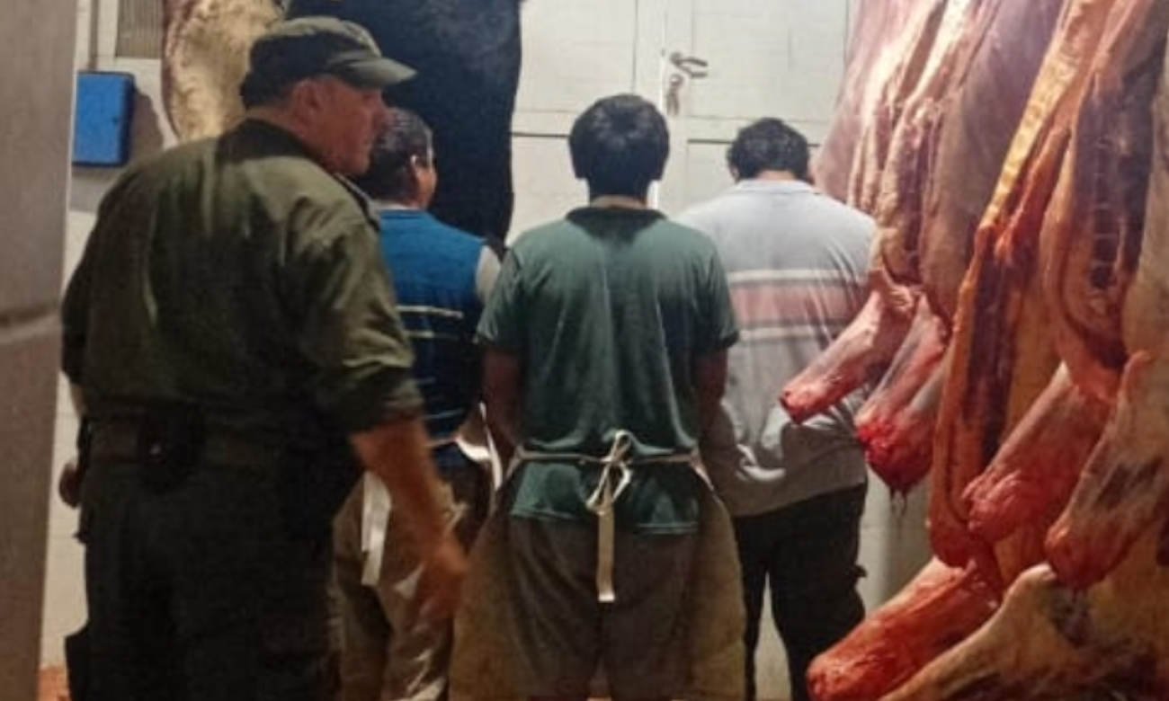 Secuestro de carne y elementos de faena durante un operativo de control sanitario realizado por Los Pumas en San Javier. Foto de archivo.