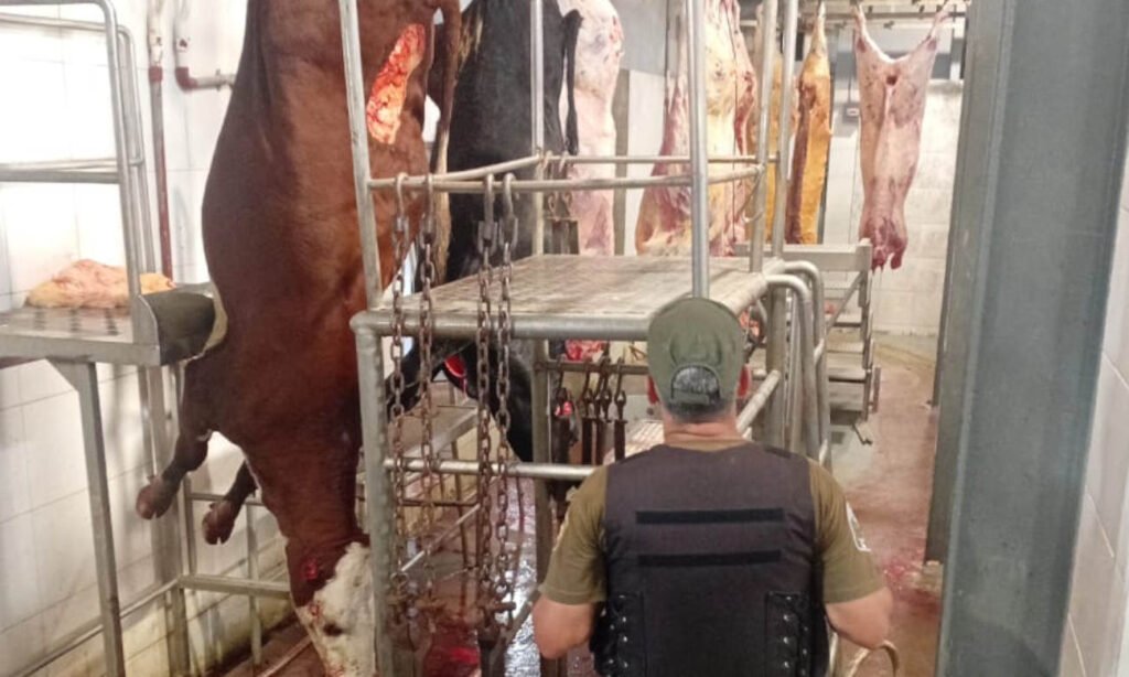 Procedimiento de la Guardia Rural Los Pumas en un frigorífico de San Javier donde detectaron faena sin habilitación sanitaria. Foto de archivo.