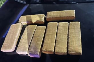 Ocho panes de material estupefaciente fueron secuestrados durante el operativo realizado por el Comando Radioeléctrico en el norte de la ciudad. Foto: Prensa Policía