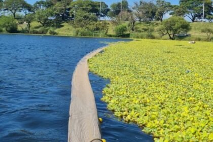 Vista del lago del Parque del Sur durante tareas de limpieza y mantenimiento en la ciudad de Santa Fe.
