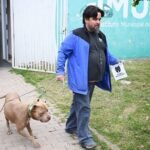 Jornada de chipeo e identificación de perros en el Instituto Municipal de Salud Animal (IMUSA) de la ciudad de Santa Fe.