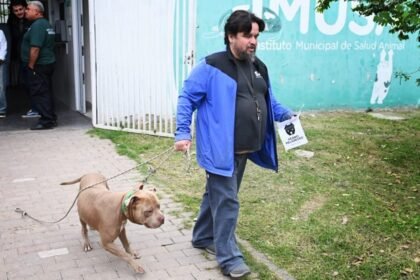 Jornada de chipeo e identificación de perros en el Instituto Municipal de Salud Animal (IMUSA) de la ciudad de Santa Fe.