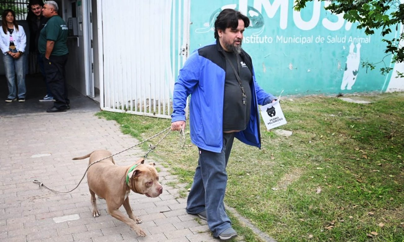 Jornada de chipeo e identificación de perros en el Instituto Municipal de Salud Animal (IMUSA) de la ciudad de Santa Fe.