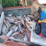 Operativo de control de pesca realizado por efectivos de Los Pumas en la zona costera de Arroyo Leyes.