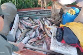 Operativo de control de pesca realizado por efectivos de Los Pumas en la zona costera de Arroyo Leyes.