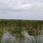 Campos anegados y caminos rurales intransitables tras intensas lluvias en el departamento Vera.