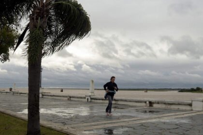 Jornada ventosa en la costanera de Santa Fe, con ráfagas intensas que marcaron el paisaje. Foto: gentileza.
