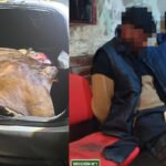 Los dos hombres detenidos por el caso de abigeato en Arroyo Leyes junto a los cortes vacunos secuestrados durante el procedimiento realizado por la Guardia Rural Los Pumas.