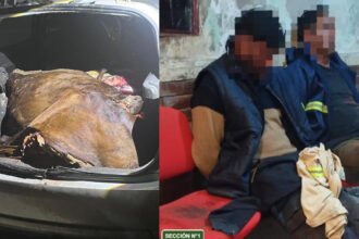 Los dos hombres detenidos por el caso de abigeato en Arroyo Leyes junto a los cortes vacunos secuestrados durante el procedimiento realizado por la Guardia Rural Los Pumas.