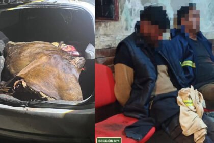 Los dos hombres detenidos por el caso de abigeato en Arroyo Leyes junto a los cortes vacunos secuestrados durante el procedimiento realizado por la Guardia Rural Los Pumas.