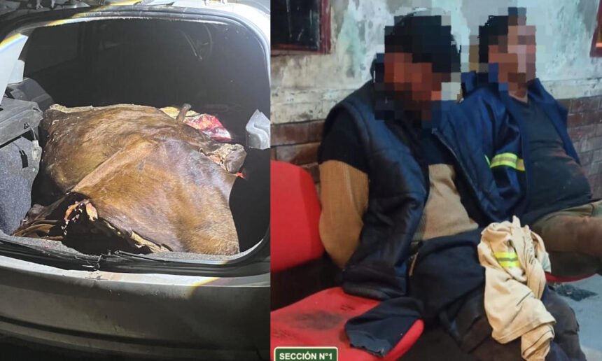 Los dos hombres detenidos por el caso de abigeato en Arroyo Leyes junto a los cortes vacunos secuestrados durante el procedimiento realizado por la Guardia Rural Los Pumas.