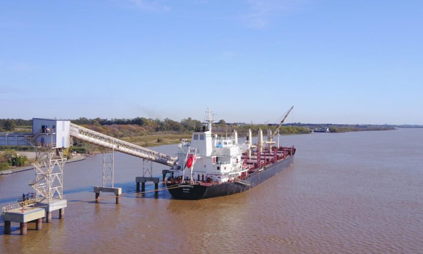Buque de carga amarrado en una terminal portuaria mientras se realizan controles y tareas operativas. Foto de archivo.