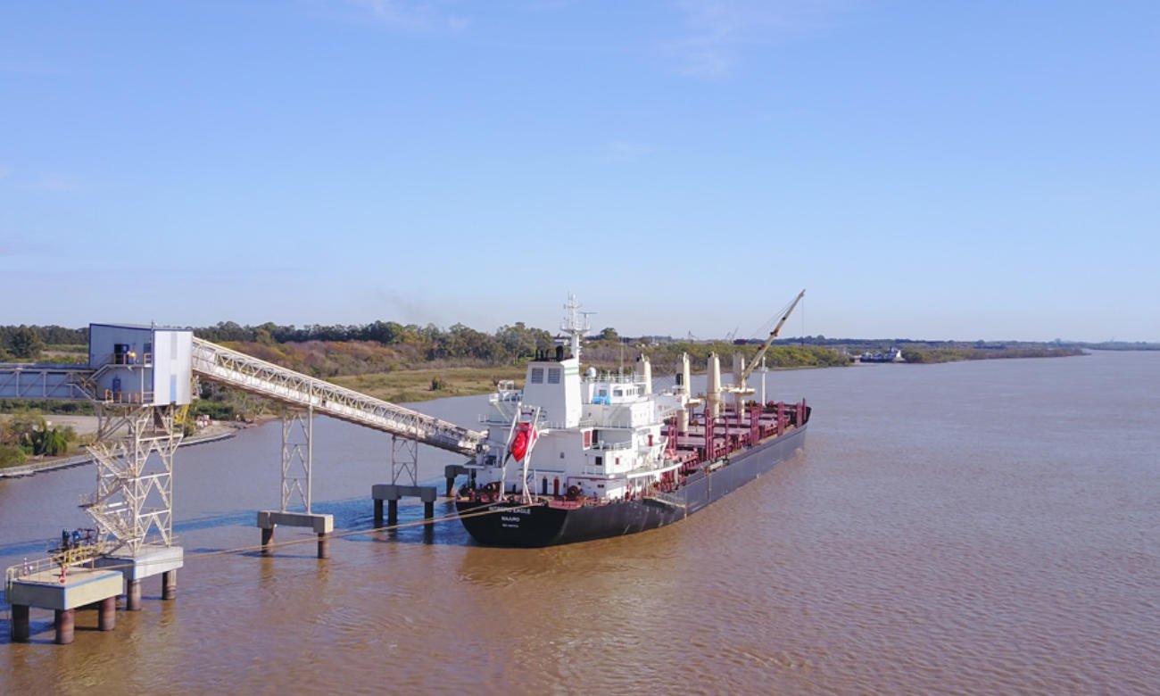 Buque de carga amarrado en una terminal portuaria mientras se realizan controles y tareas operativas. Foto de archivo.