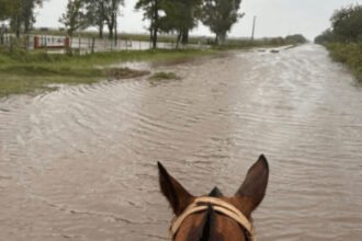 Campos anegados tras intensas lluvias en el norte de la provincia de Santa Fe. Foto de archivo.