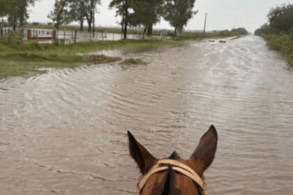 Campos anegados tras intensas lluvias en el norte de la provincia de Santa Fe. Foto de archivo.