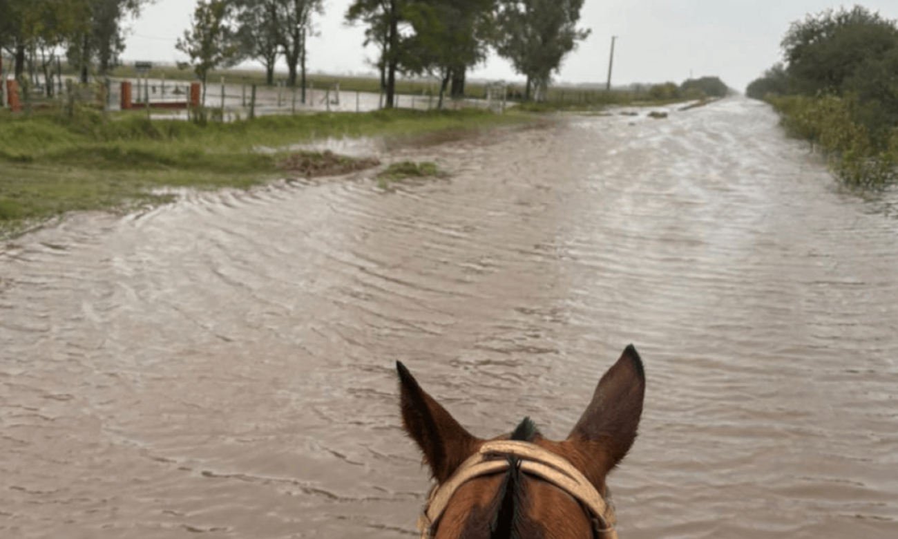 Campos anegados tras intensas lluvias en el norte de la provincia de Santa Fe. Foto de archivo.