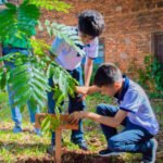 Estudiantes participan de una actividad de educación ambiental durante una jornada de plantación en una institución educativa. Foto de archivo.