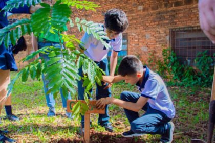 Estudiantes participan de una actividad de educación ambiental durante una jornada de plantación en una institución educativa. Foto de archivo.