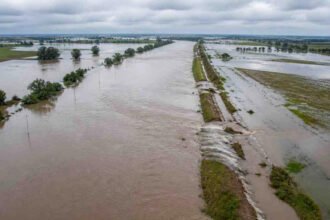 Campos anegados en distintas zonas de la provincia de Santa Fe tras intensas lluvias registradas durante temporales recientes. Foto de archivo
