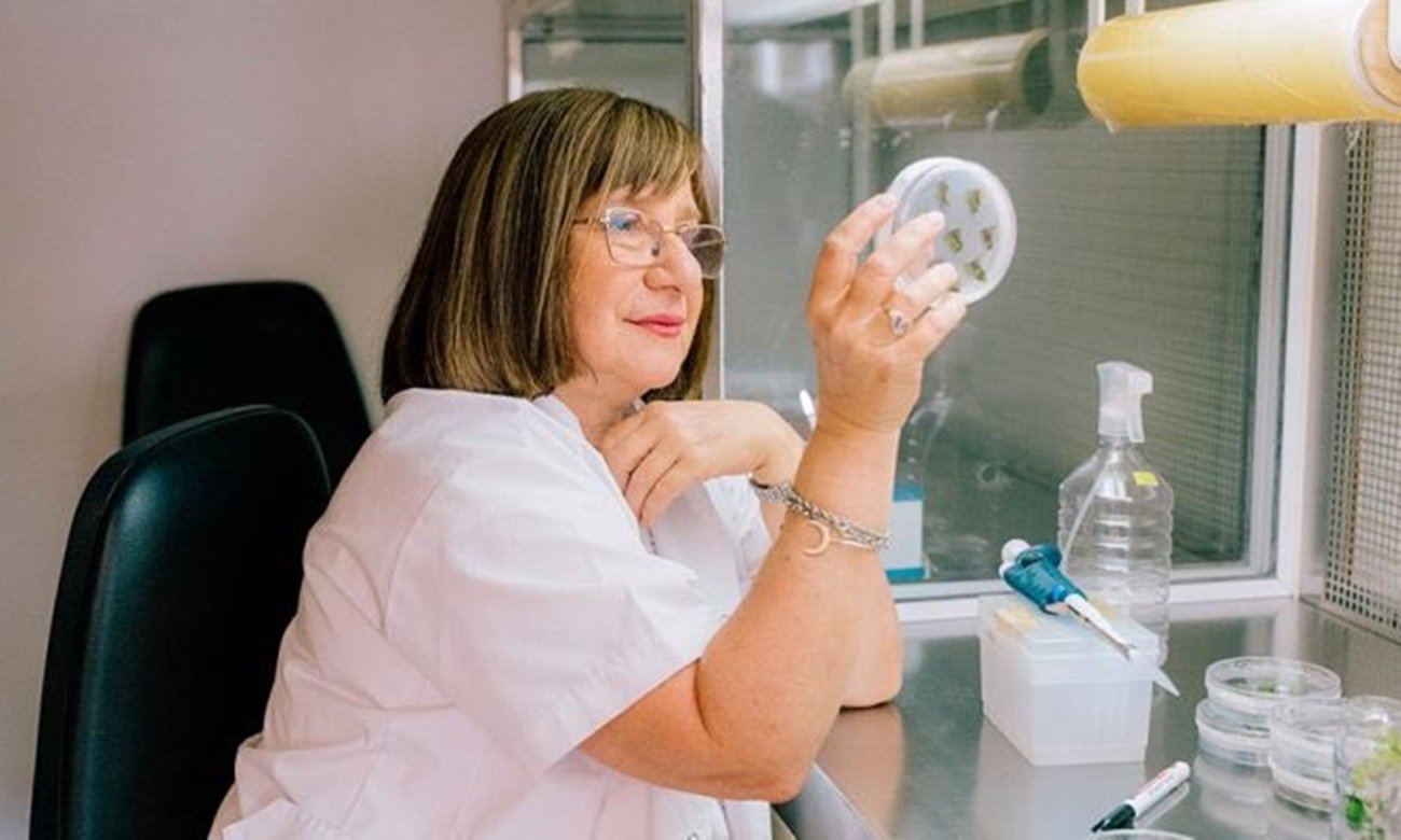 Raquel Chan fue reconocida internacionalmente por sus investigaciones en biotecnología vegetal y desarrollo de cultivos resistentes a condiciones climáticas adversas.