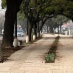 Vista de la renovada avenida Aristóbulo del Valle, una de las principales intervenciones urbanas ejecutadas para mejorar la accesibilidad, la seguridad y el espacio público en la ciudad de Santa Fe.