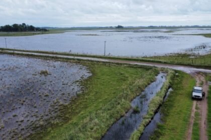 Un campo anegado en la provincia de Santa Fe tras un episodio de intensas lluvias. La imagen refleja el impacto de los excesos hídricos en zonas rurales. Foto de archivo.